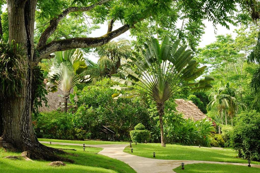The Lodge At Chaacreek San Ignacio Bagian luar foto